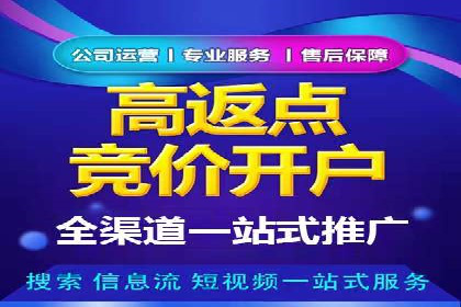 不同平台的SEM广告投放比较及成功案例分析